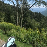 Review photo of Elkmont Group Campground — Great Smoky Mountains National Park by Crystal C., October 31, 2018