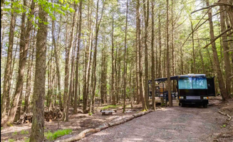 Ashley F.'s photo of a cabin at Romantic Glamping Camper With Indoor Fireplace near Woodridge, NY
