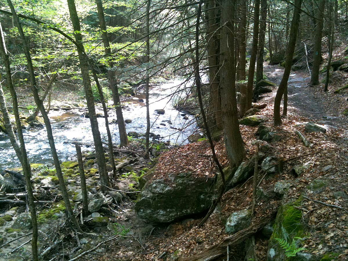 Camper-submitted photo at Sylco near Eton, GA