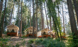 Dan T.'s photo of glamping accommodations at Inn Town Campground near Martis Creek Lake