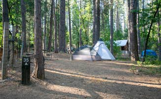 Dan T.'s photo at Inn Town Campground near Gold Run, CA