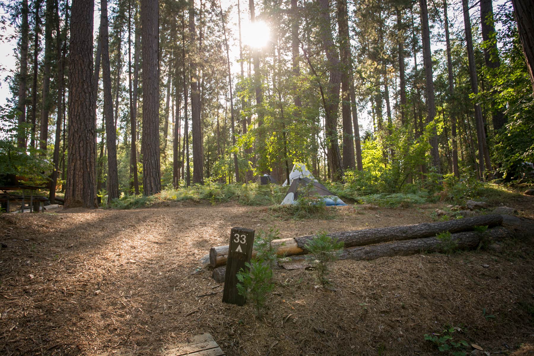 Camper-submitted photo at Inn Town Campground near Colfax, CA