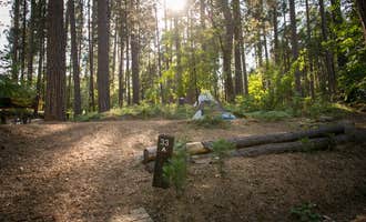Camping near Tranquillity Base: Inn Town Campground, Nevada City, California