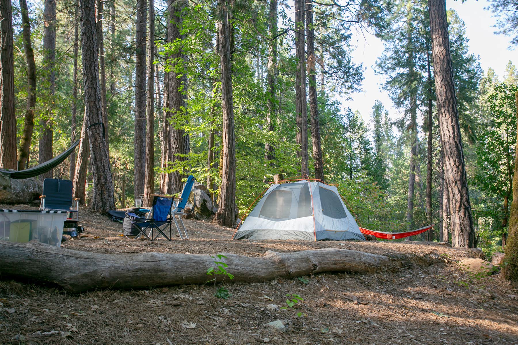 Camper-submitted photo at Inn Town Campground near Colfax, CA