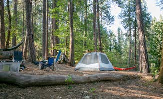 Dan T.'s photo at Inn Town Campground near Weimar, CA