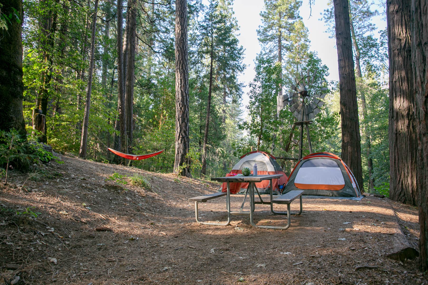 Camper-submitted photo at Inn Town Campground near Gold Run, CA