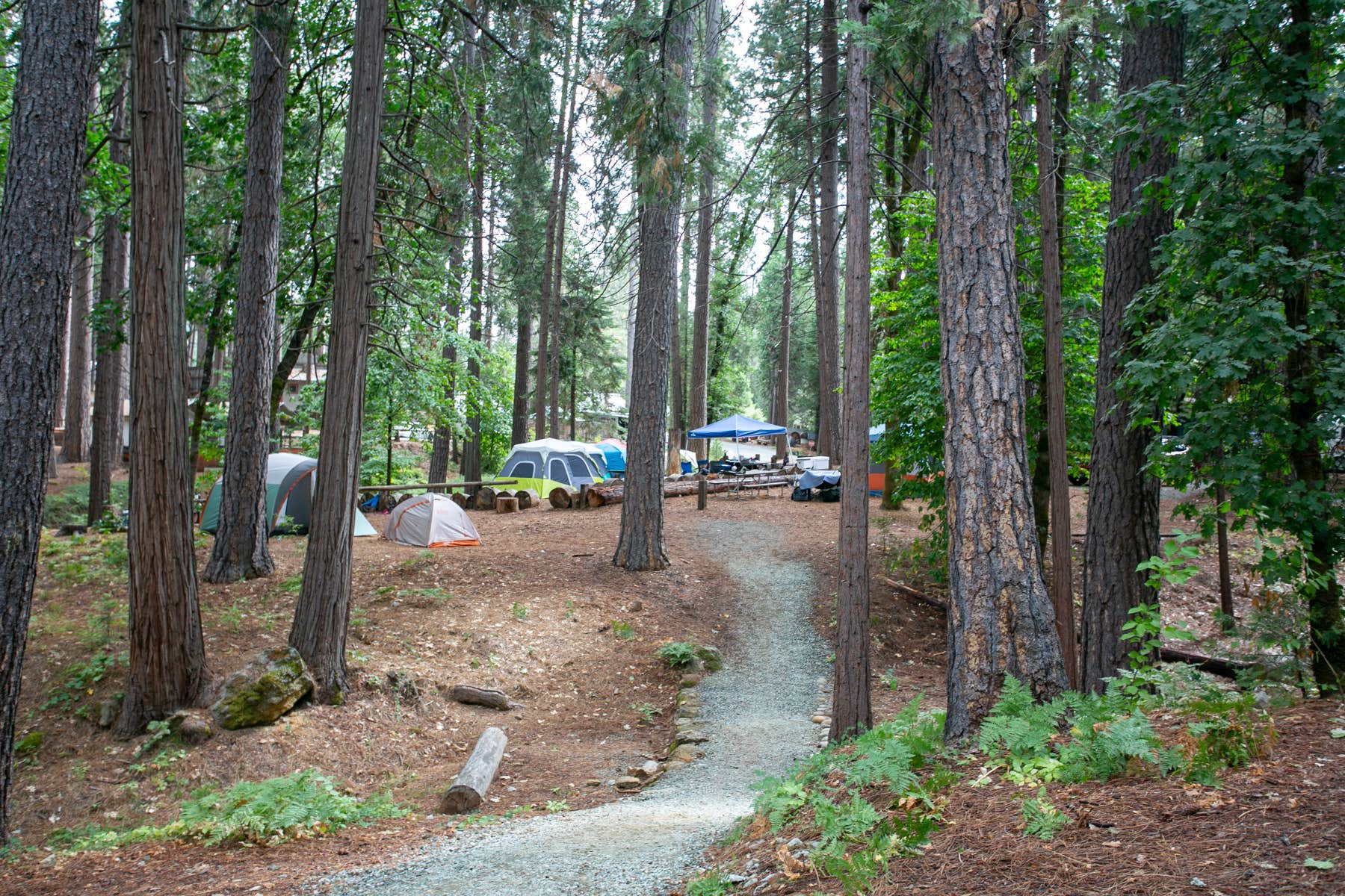 Dan T.'s photo at Inn Town Campground near Gold Run, CA