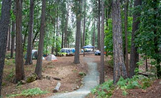 Dan T.'s photo at Inn Town Campground near Gold Run, CA