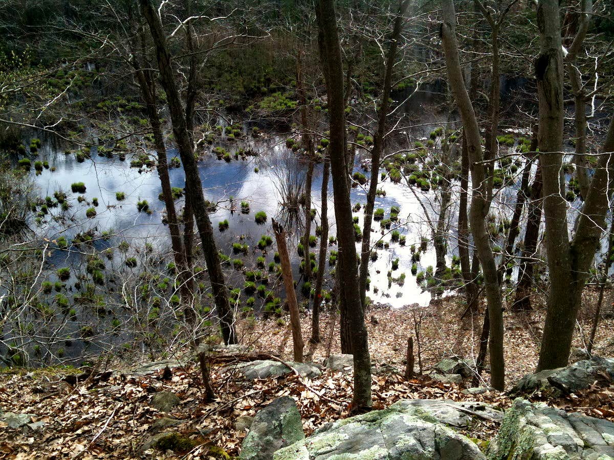 Camper-submitted photo at Sylco near Eton, GA