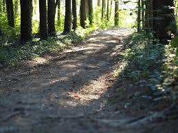 Camper-submitted photo at Sylco near Eton, GA