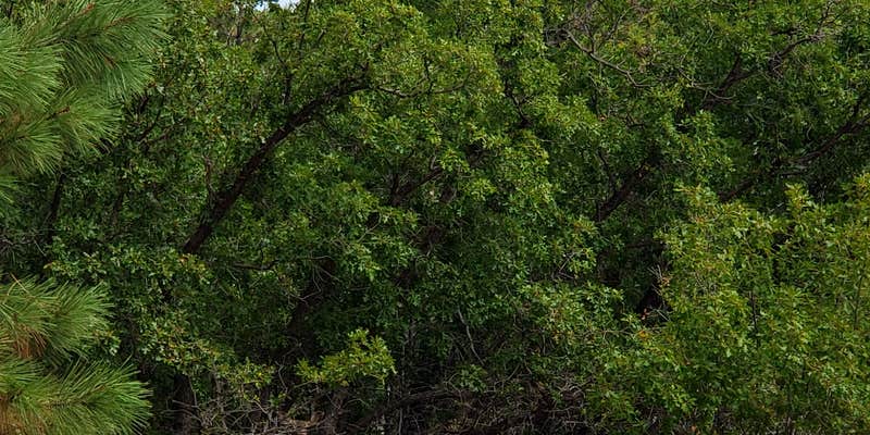 Camper submitted image from The Sherwood Escape