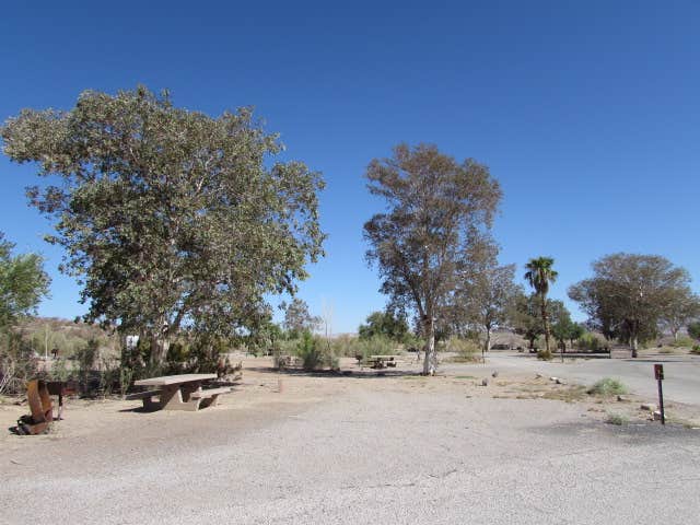 Camper submitted image from Las Vegas Bay Campground — Lake Mead National Recreation Area - 2