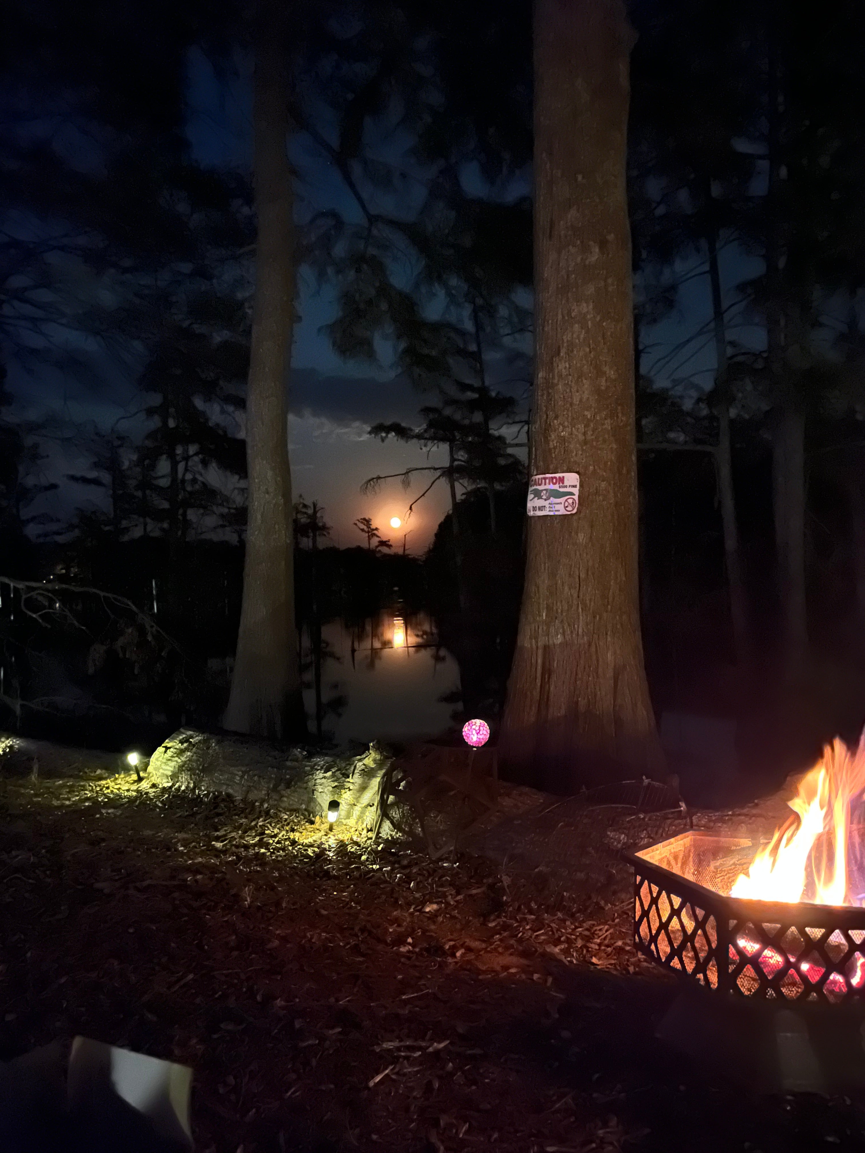 Camper submitted image from Flamingo Pointe RV Park at Lake Wallace, 2 miles off US HYW 165 - 4