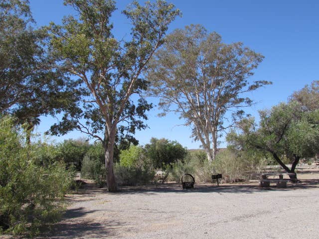 Las Vegas Bay Campground — Lake Mead National Recreation Area