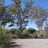 Review photo of Las Vegas Bay Campground — Lake Mead National Recreation Area by Colette K., October 31, 2018