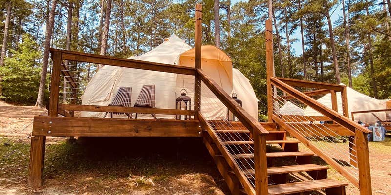 Camper submitted image from Untamed Honey Glampsites