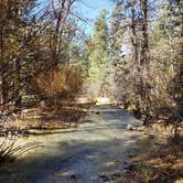 Review photo of Carson National Forest Fawn Lakes by Brittany S., October 31, 2018