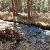 Review photo of Carson National Forest Fawn Lakes by Brittany S., October 31, 2018