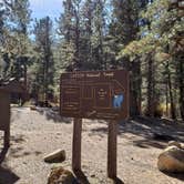 Review photo of Carson National Forest Fawn Lakes by Brittany S., October 31, 2018