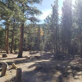 Review photo of Carson National Forest Fawn Lakes by Brittany S., October 31, 2018