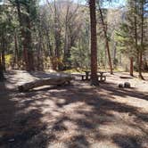 Review photo of Carson National Forest Fawn Lakes by Brittany S., October 31, 2018