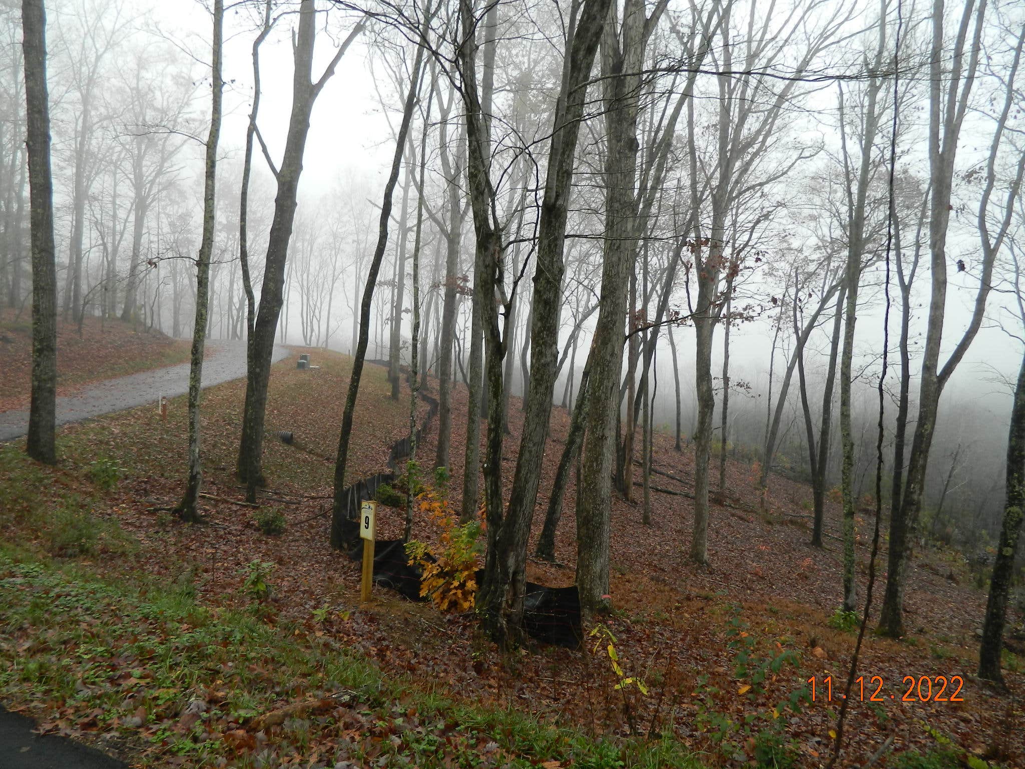 Camping near Navajo: White Oak Reserve, Epworth, Georgia