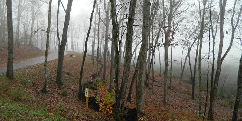 Camper submitted image from White Oak Reserve