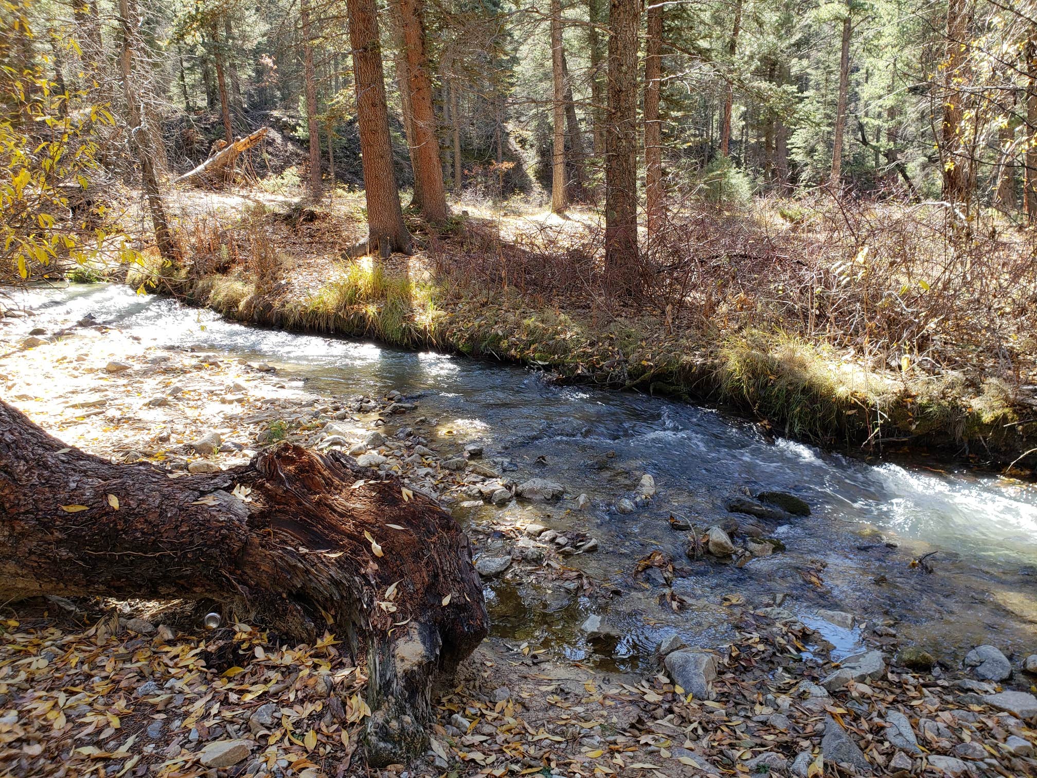 Camper submitted image from Fawn Lakes Campground - 2