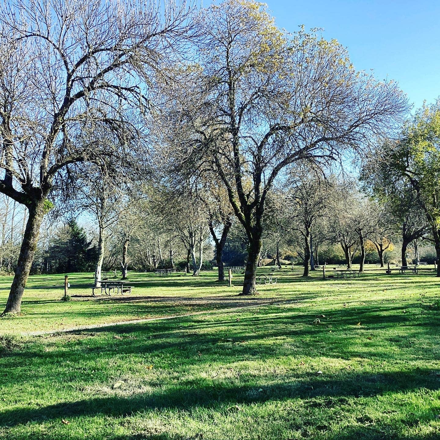 Camper-submitted photo at Wallicut River RV Resort & Campground near Astoria, OR