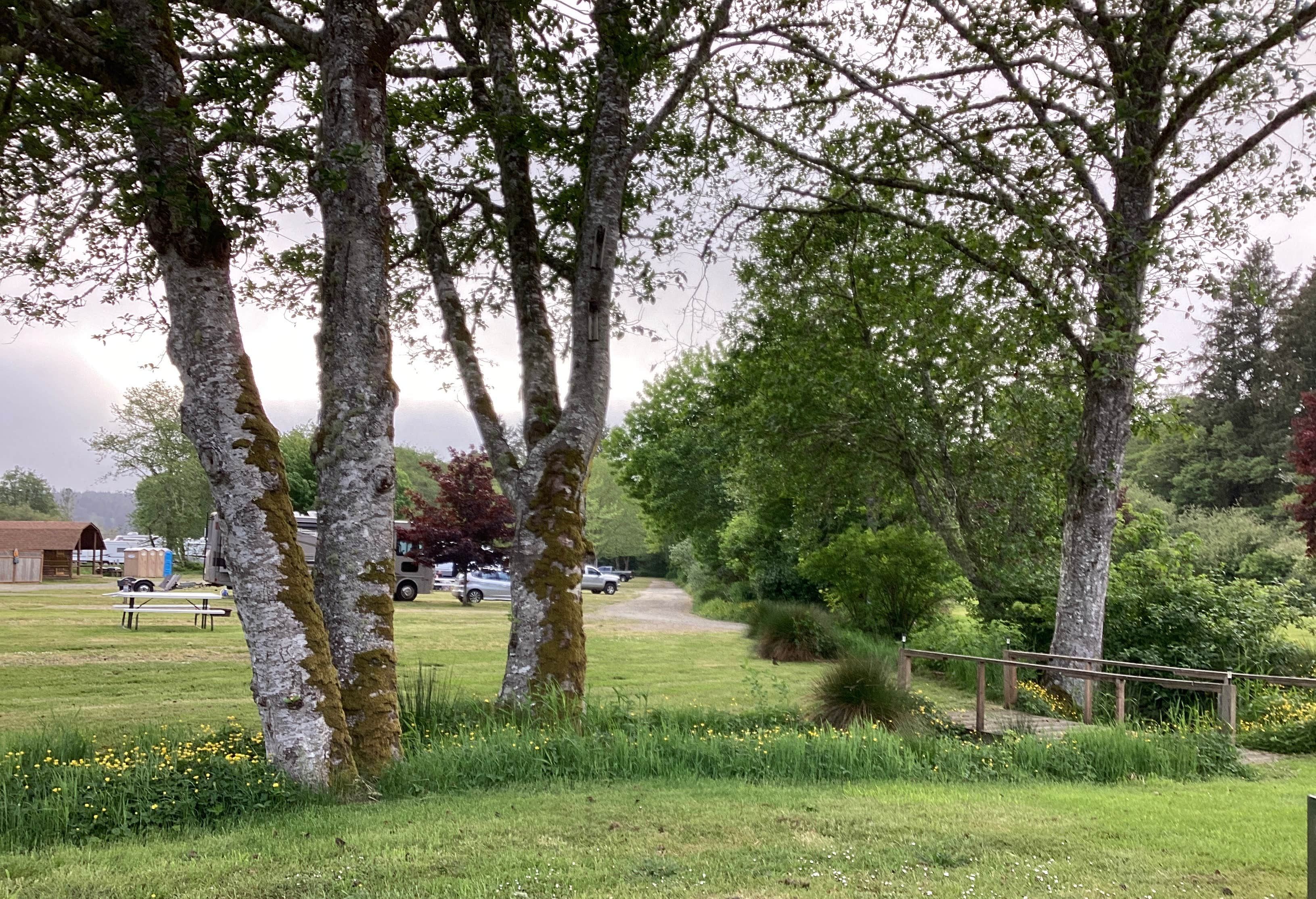Camper-submitted photo at Wallicut River RV Resort & Campground near Astoria, OR