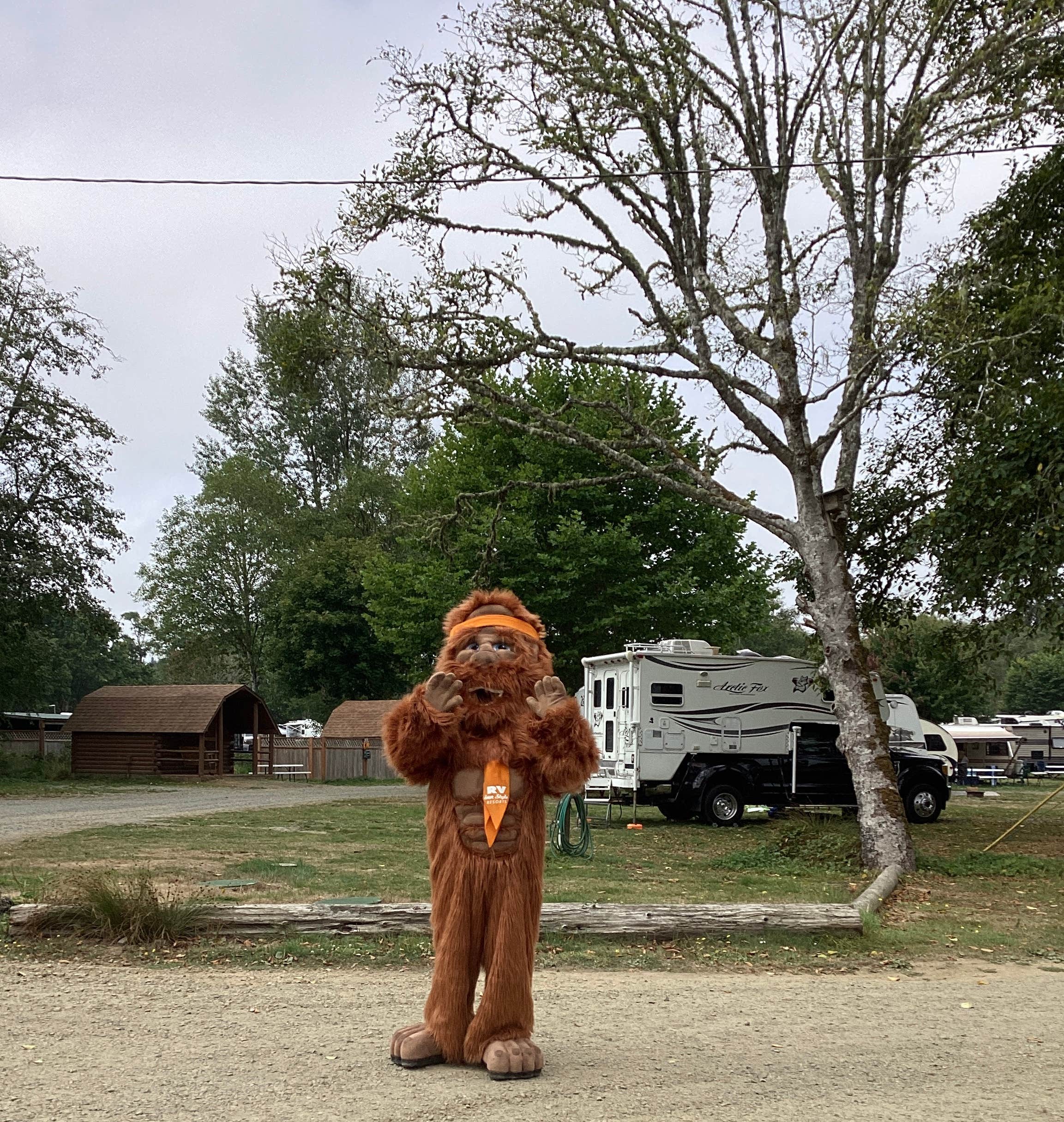 Wallicut S.'s photo of rv camping at Wallicut River RV Resort & Campground near Loomis, WA