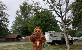 Wallicut S.'s photo of rv camping at Wallicut River RV Resort & Campground near Ocean Park, WA