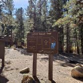 Review photo of Fawn Lakes Campground by Brittany S., October 31, 2018