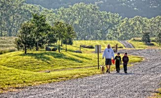 Blue Water M.'s photo of camping with pets at Luray RV Resort on Shenandoah River near Shenandoah, VA