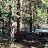 Review photo of Wawona Campground — Yosemite National Park by JeanetteCarter , October 13, 2023