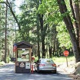 Review photo of Wawona Campground — Yosemite National Park by JeanetteCarter , October 13, 2023
