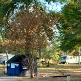 Review photo of Noble Forest RV Village by Sam S., October 13, 2023
