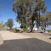 Review photo of Boulder Beach Campground — Lake Mead National Recreation Area by Colette K., September 1, 2017
