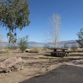 Review photo of Boulder Beach Campground — Lake Mead National Recreation Area by Colette K., September 1, 2017