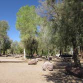 Review photo of Boulder Beach Campground — Lake Mead National Recreation Area by Colette K., September 1, 2017