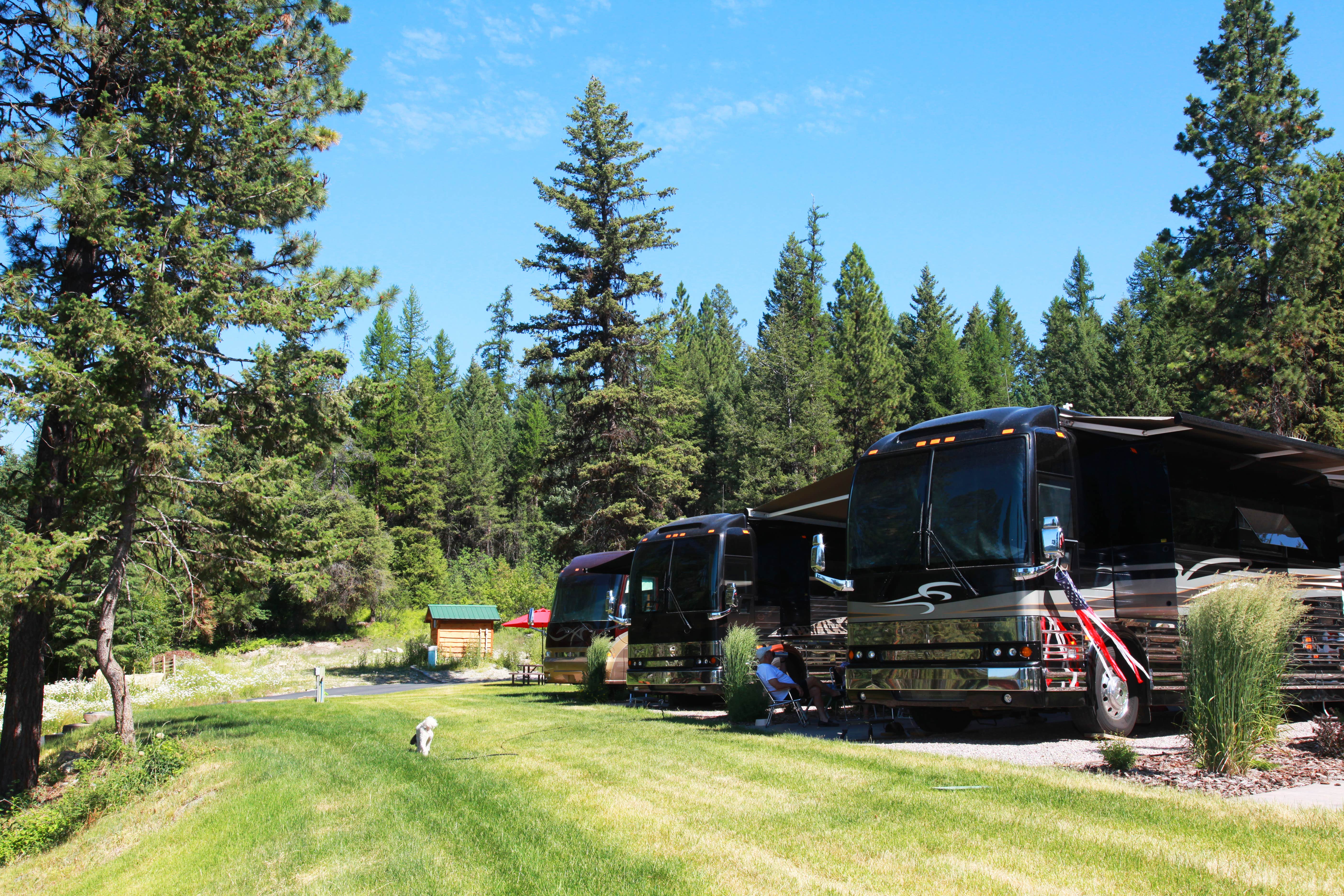 Donna C.'s photo of camping with pets at The Lodge & Resort at Lake Mary Ronan near Hot Springs, MT