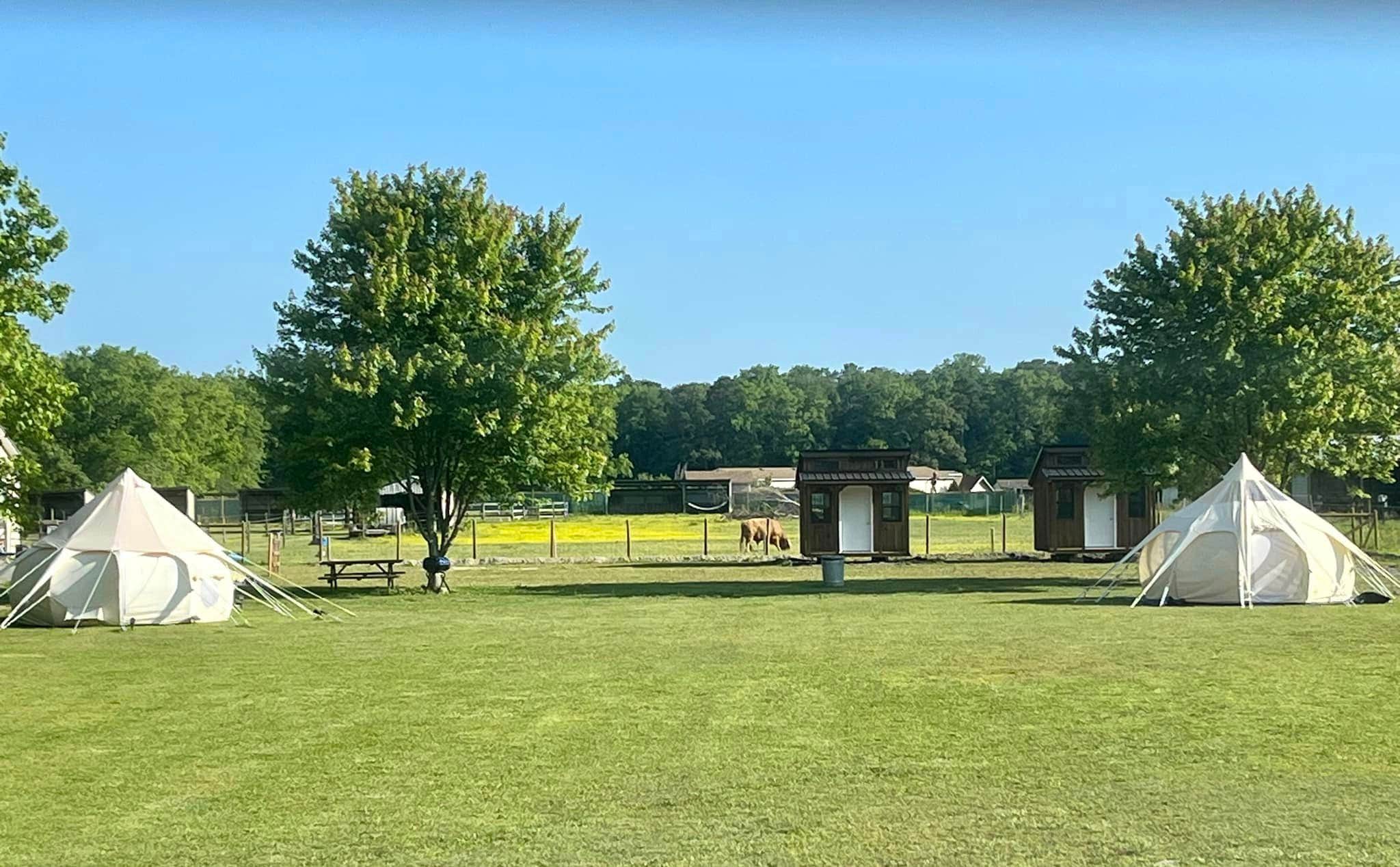 Camper-submitted photo at Cowtown Glamping Cabins near Fenwick Island, DE