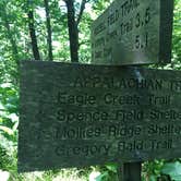 Review photo of Elkmont Campground — Great Smoky Mountains National Park by Alison C., October 8, 2018