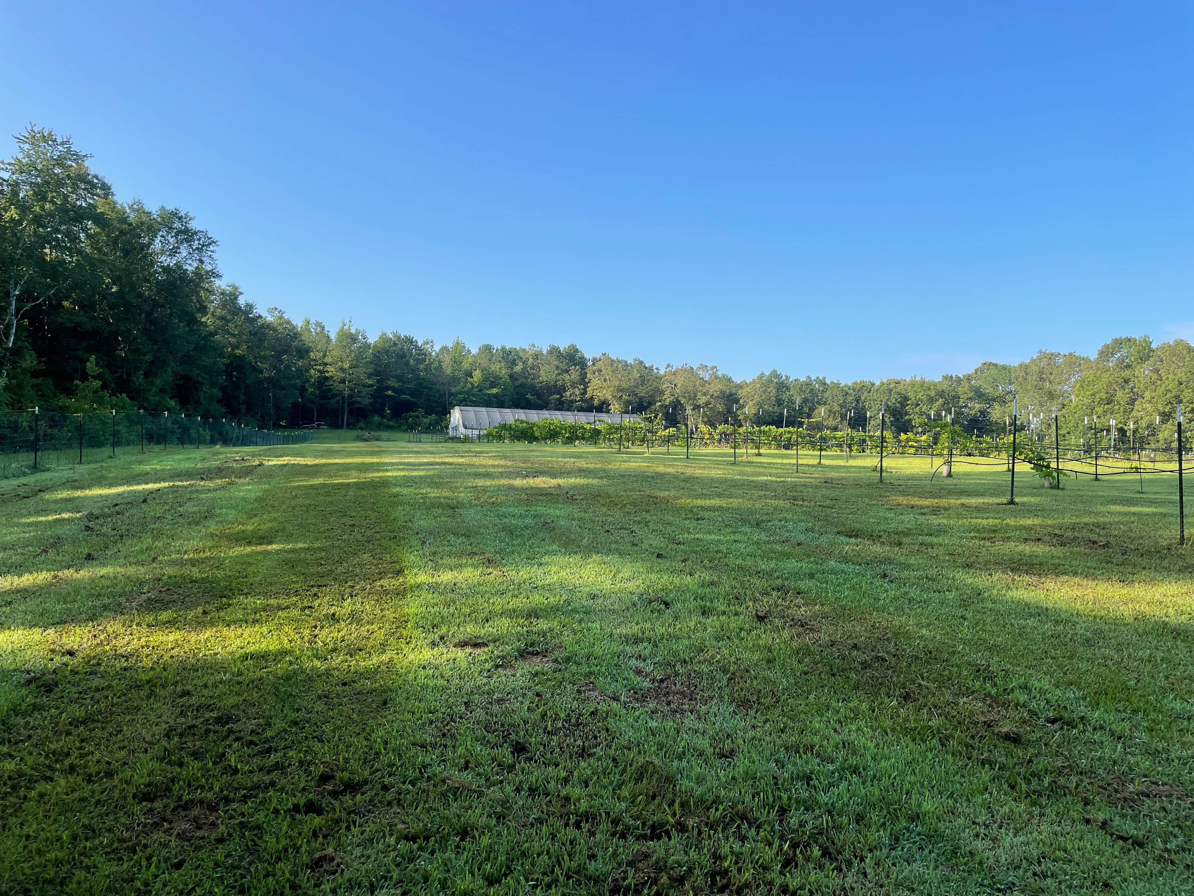 Camper-submitted photo at Mississippi Art & wine gallery near Amory, MS