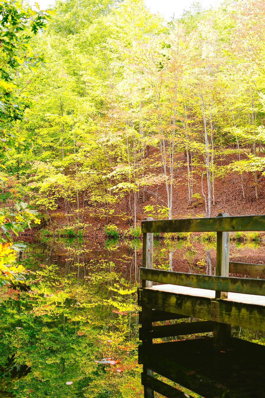 Camper-submitted photo at Middle Ridge Campground in West Virginia
