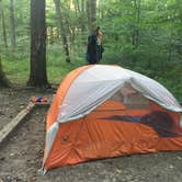 Review photo of Mammoth Cave Campground — Mammoth Cave National Park by Alison C., October 8, 2018