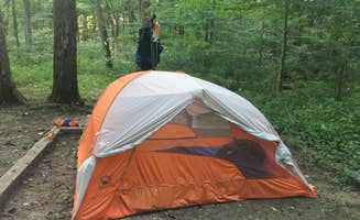 Alison C.'s photo at Mammoth Cave Campground — Mammoth Cave National Park near Barren River Lake