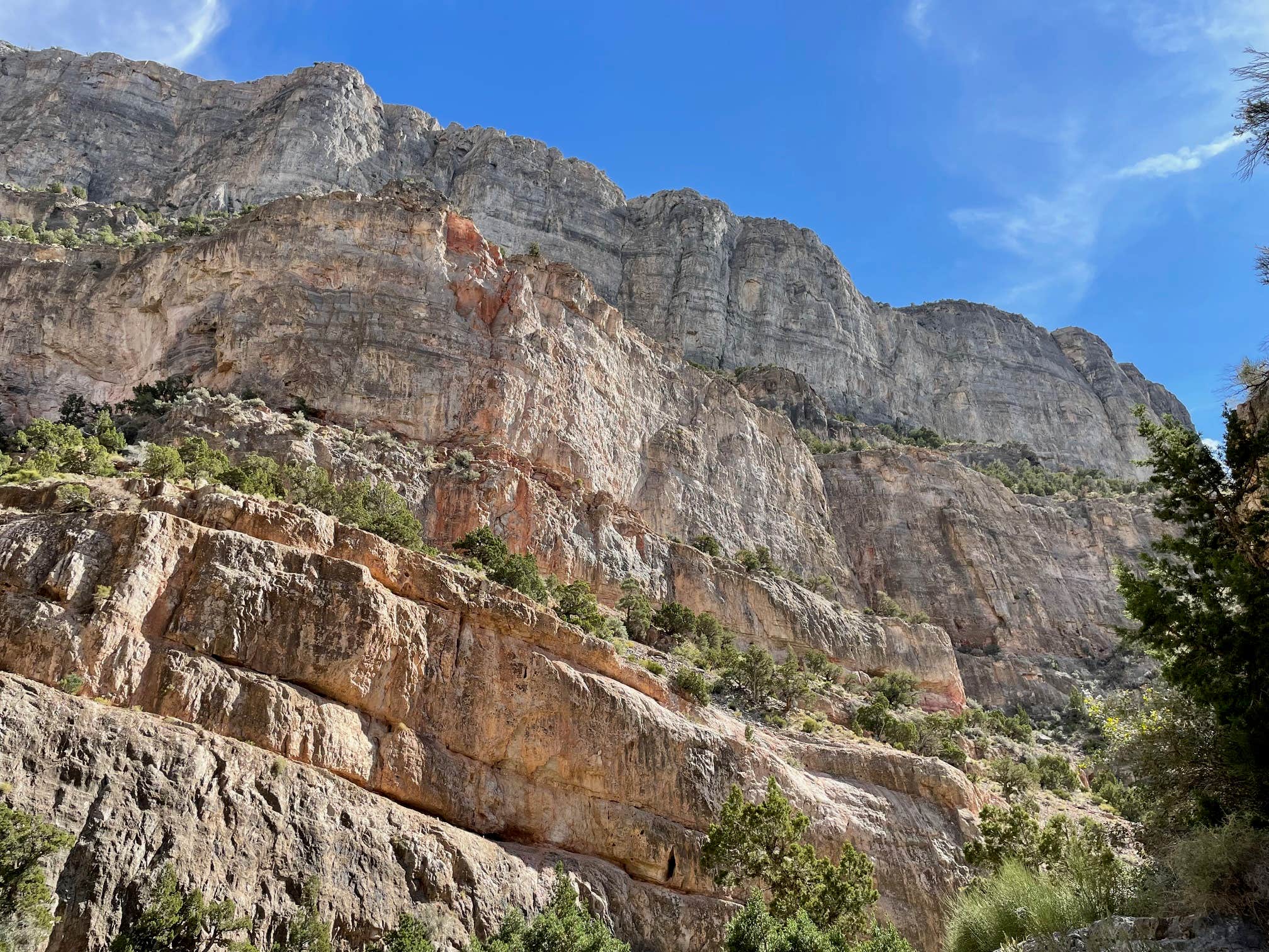 Camper-submitted photo at Marjum Pass Dispersed Camping near Great Basin National Park