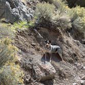 Review photo of Marjum Pass Dispersed Camping by BoneMonkey .., October 15, 2023