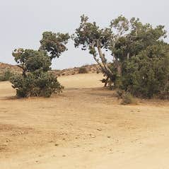 Camper-submitted photo at Deep Creek Hot Springs Camp Retreat near Cedarpines Park, CA